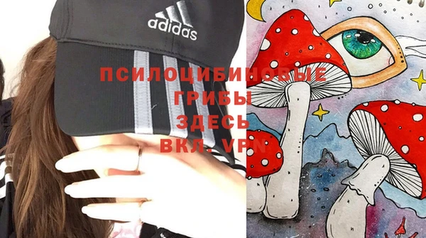 тгк Аркадак