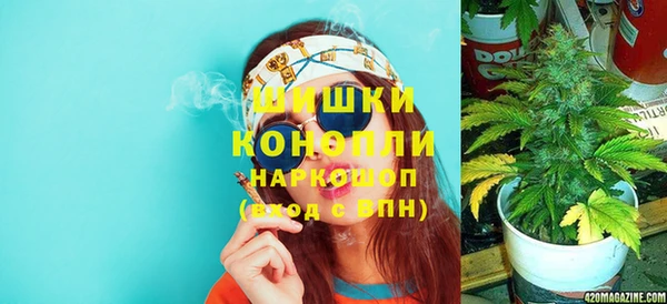 стафф Арсеньев