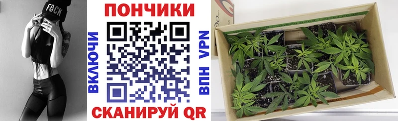 Конопля Amnesia  даркнет сайт  OMG ONION  Бавлы 